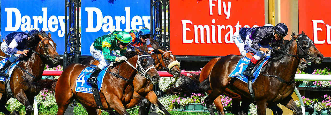 Your Ultimate Guide to the Melbourne Cup