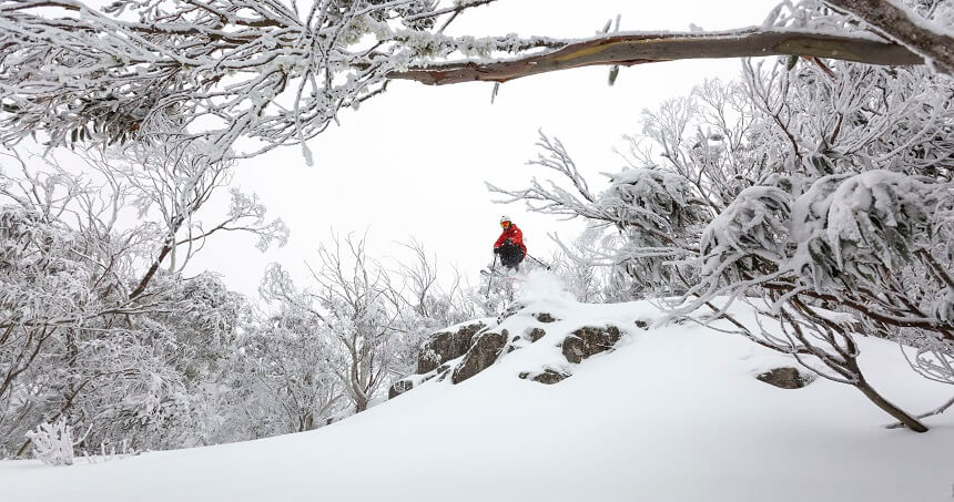 Mount Buller return on a different day tour - skiing