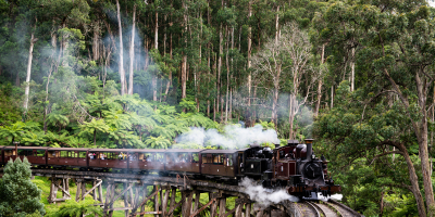 Puffing Billy and Wildlife Tour $189