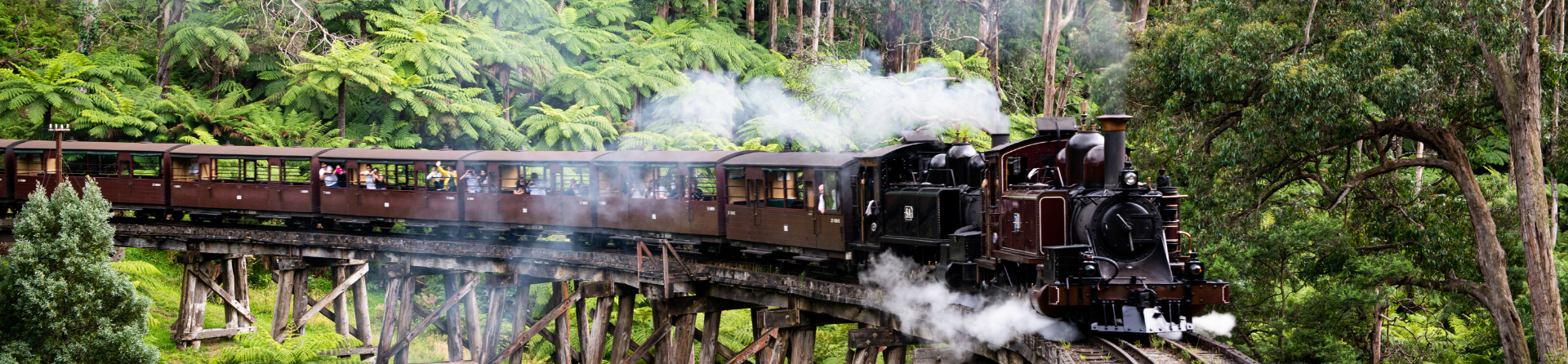 Puffing Billy and Wildlife Tour 9