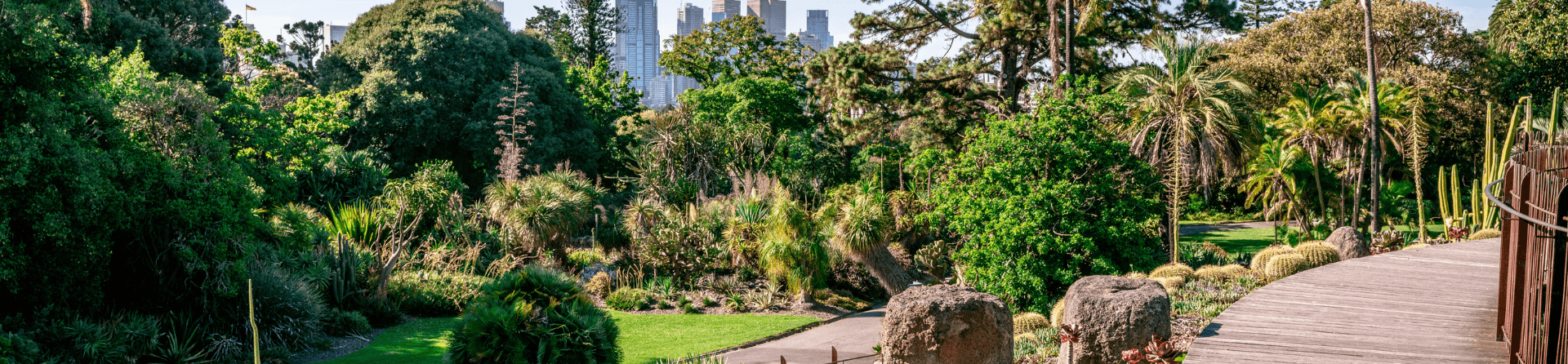 What to see at Melbourne’s Royal Botanical Gardens