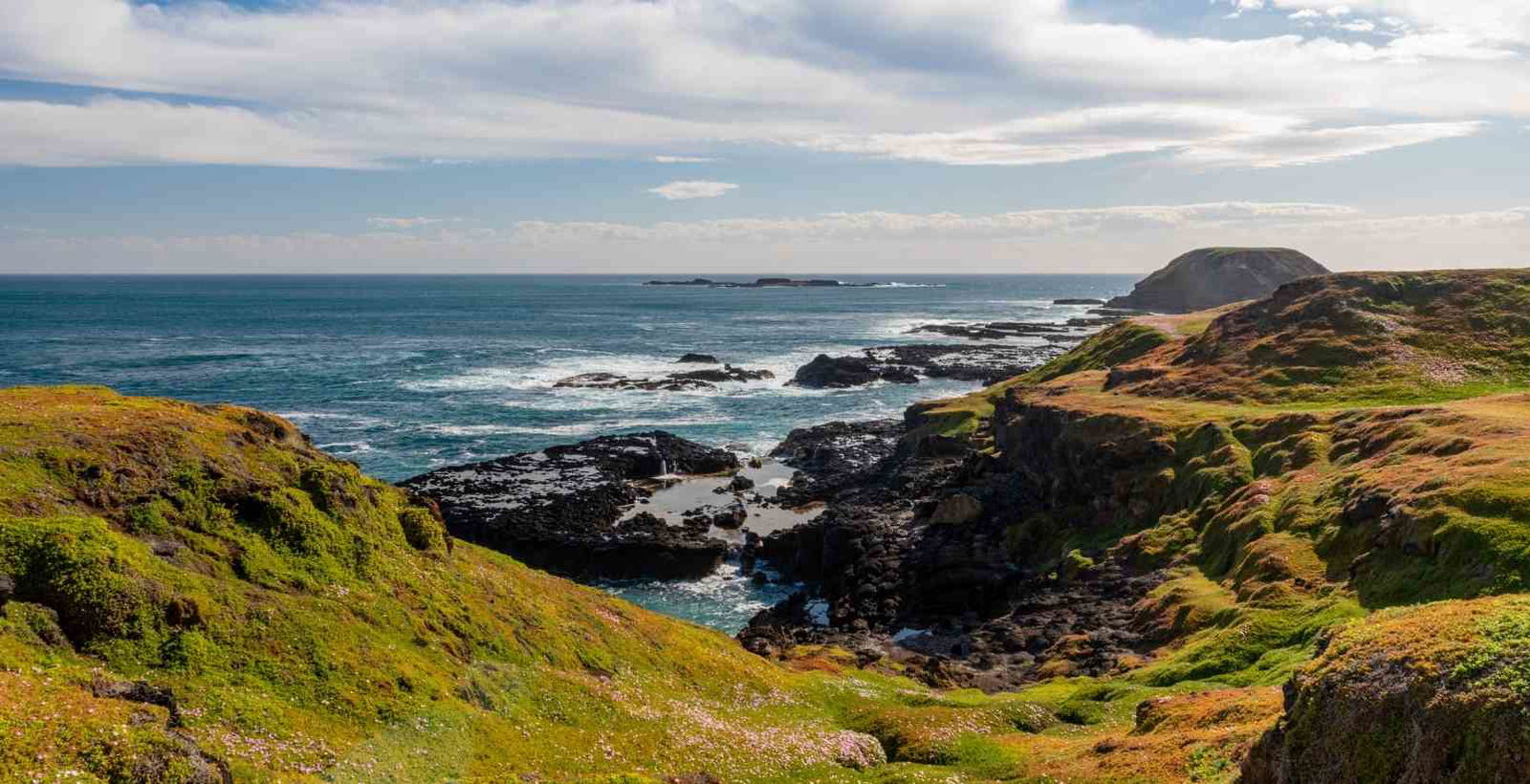 nobbies boardwalk on philip island