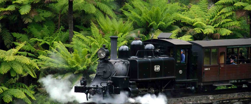 Puffing Billy and Wildlife Tour $215