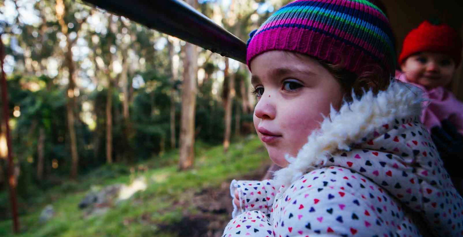 little girl looking out from puffing billy train window