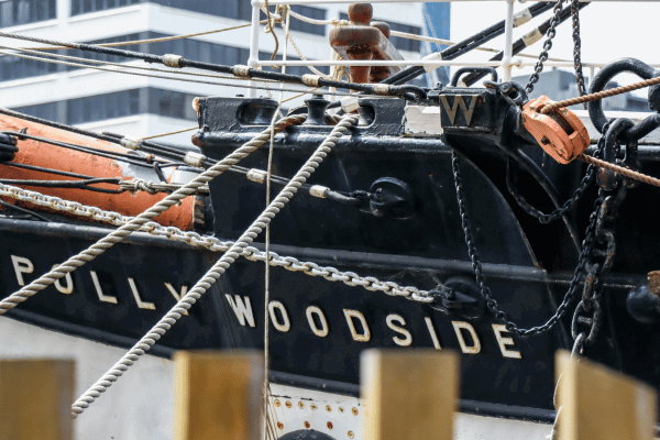 Close-up of Polly Woodside