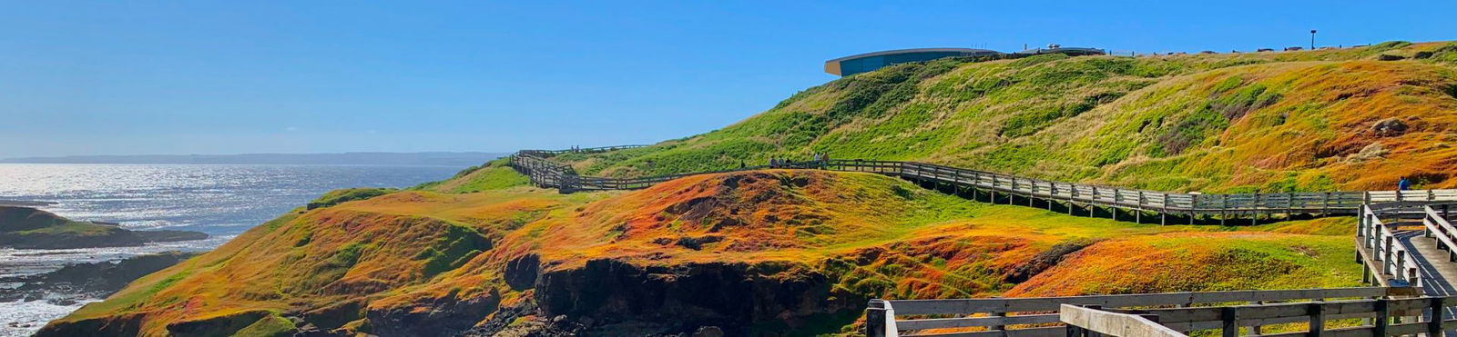 Phillip Island