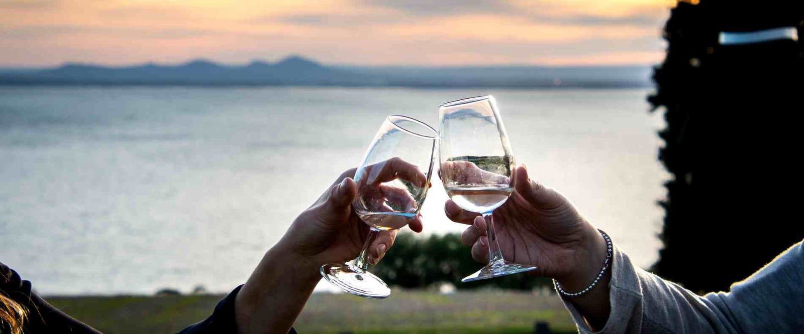two people clicking wine glasses together in front of beach view at dusk