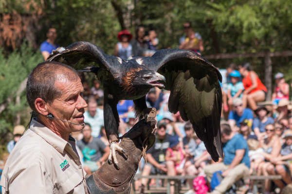 Healesville Sanctuary