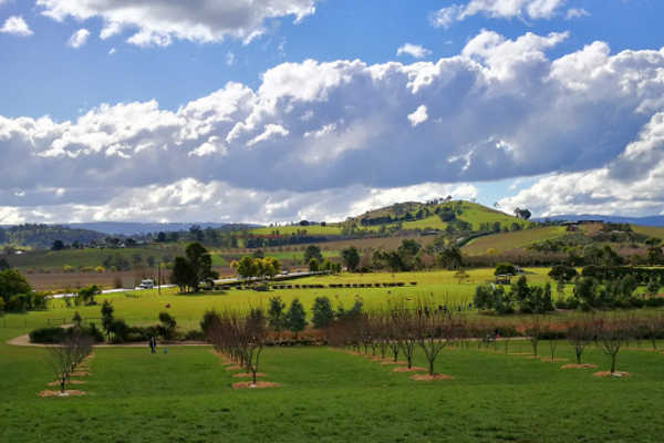 Yarra Valley